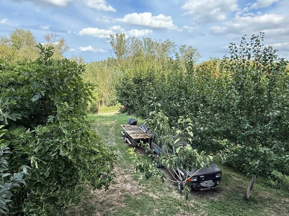 Duna Liget House in Hungary