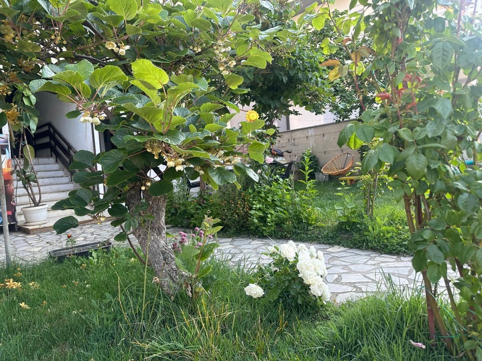 Camping Struga Macedonia Campground/ 
RV Resort in Municipality of Ohrid, North Macedonia