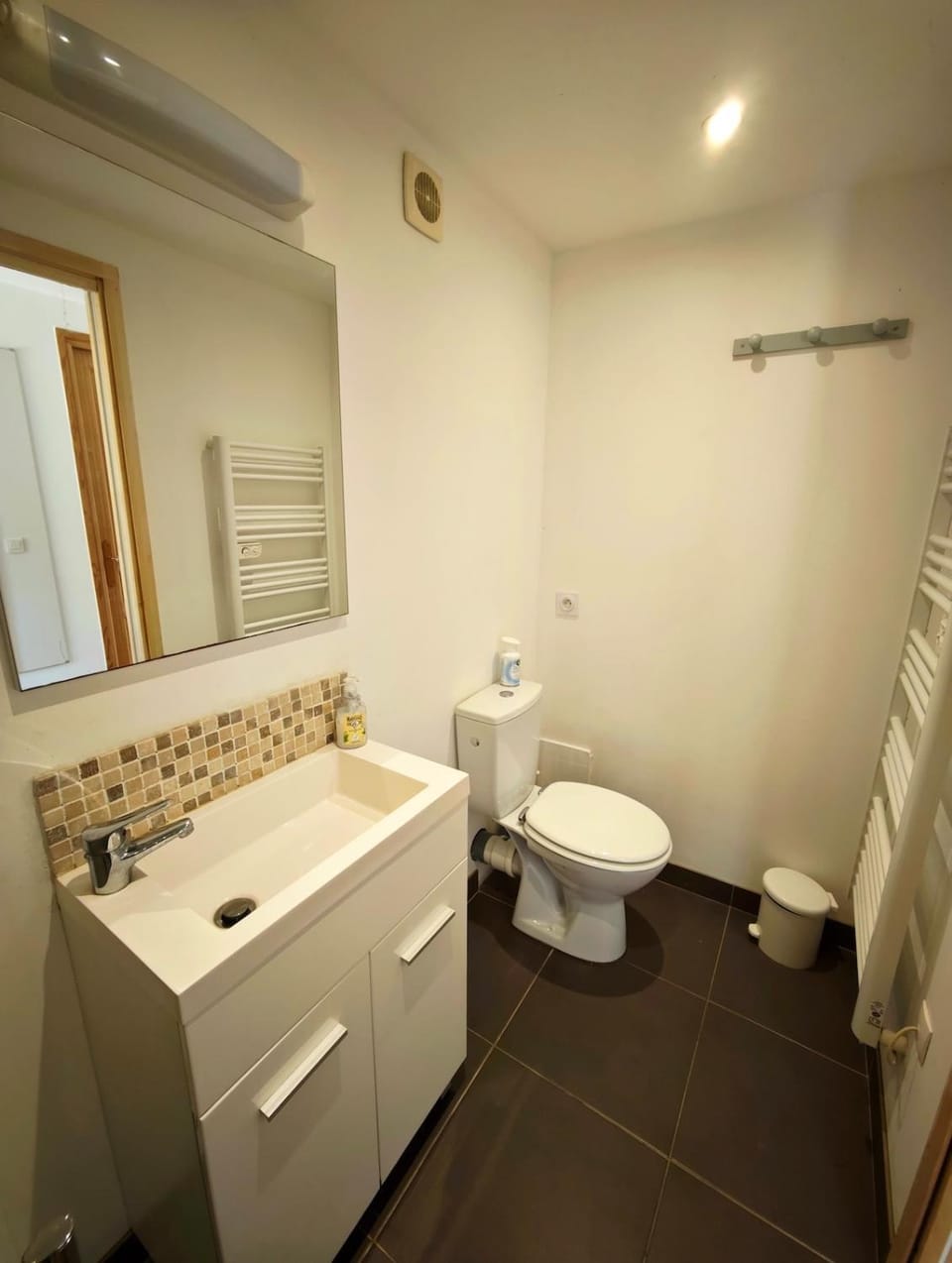 Toilet, Bathroom, hair dryier