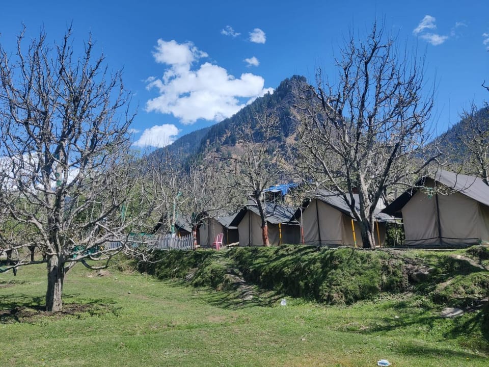 Manali Base Camp & Cafe Campground/ 
RV Resort in Manali