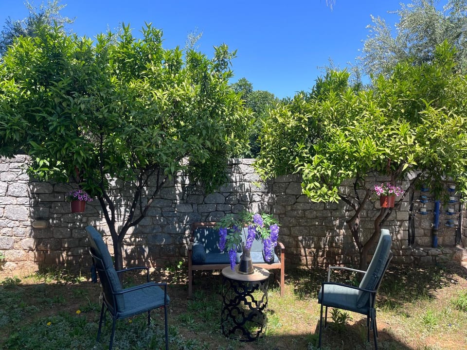 Rea Harmony Apartment in Messenia