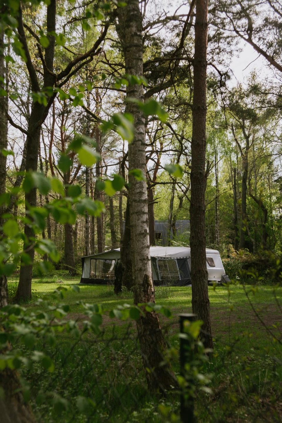Szumi las, szumi morze - przyczepa na pięknej prywatnej działce Campground/ 
RV Resort in Pomeranian Voivodeship