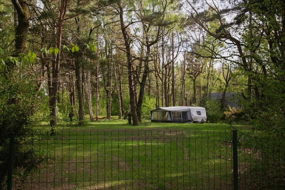 Szumi las, szumi morze - przyczepa na pięknej prywatnej działce Campground/ 
RV Resort in Pomeranian Voivodeship