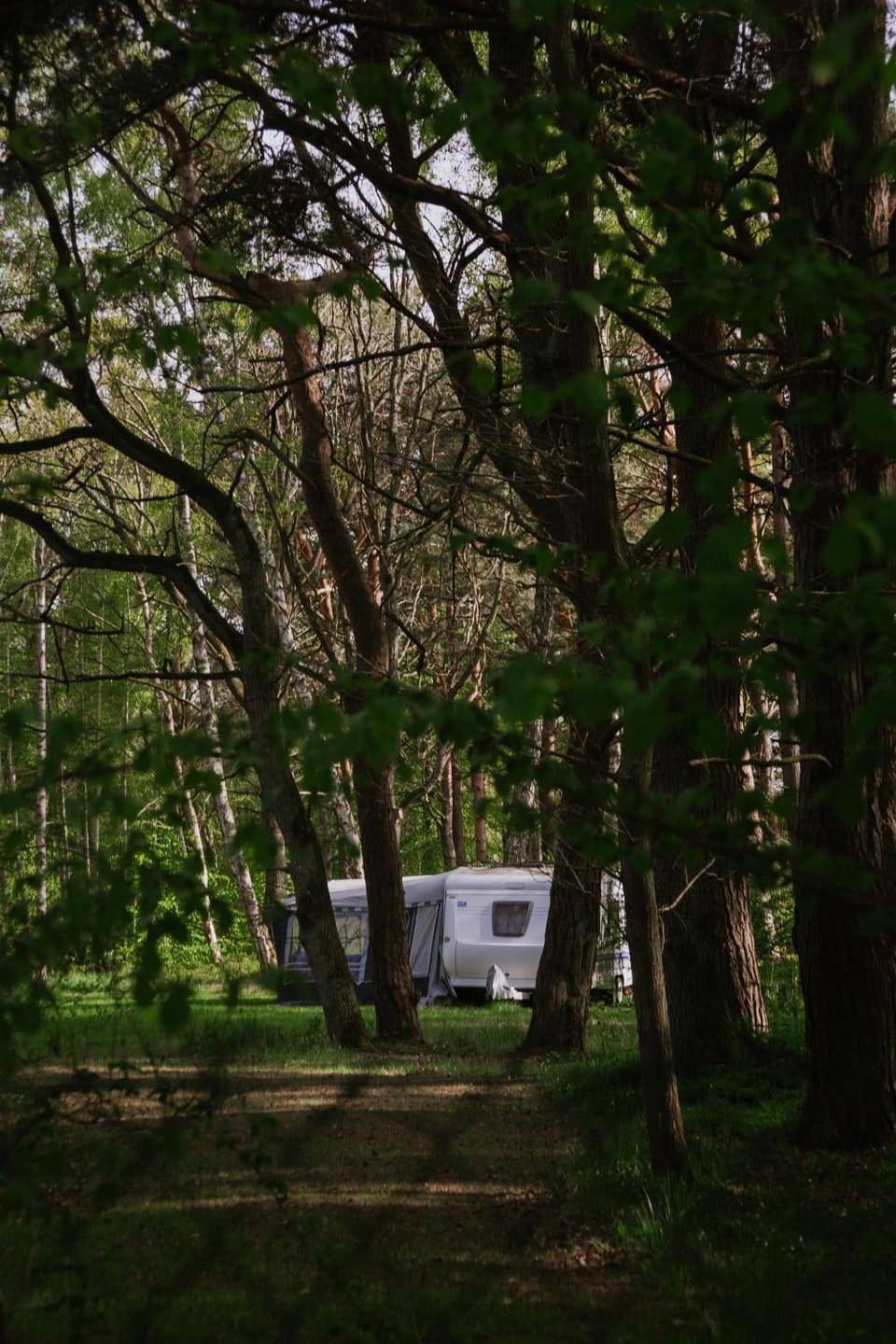 Szumi las, szumi morze - przyczepa na pięknej prywatnej działce Campground/ 
RV Resort in Pomeranian Voivodeship