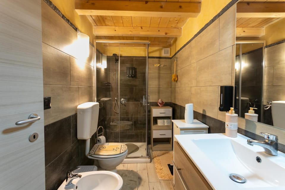 Shower, Toilet, Bathroom, bidet