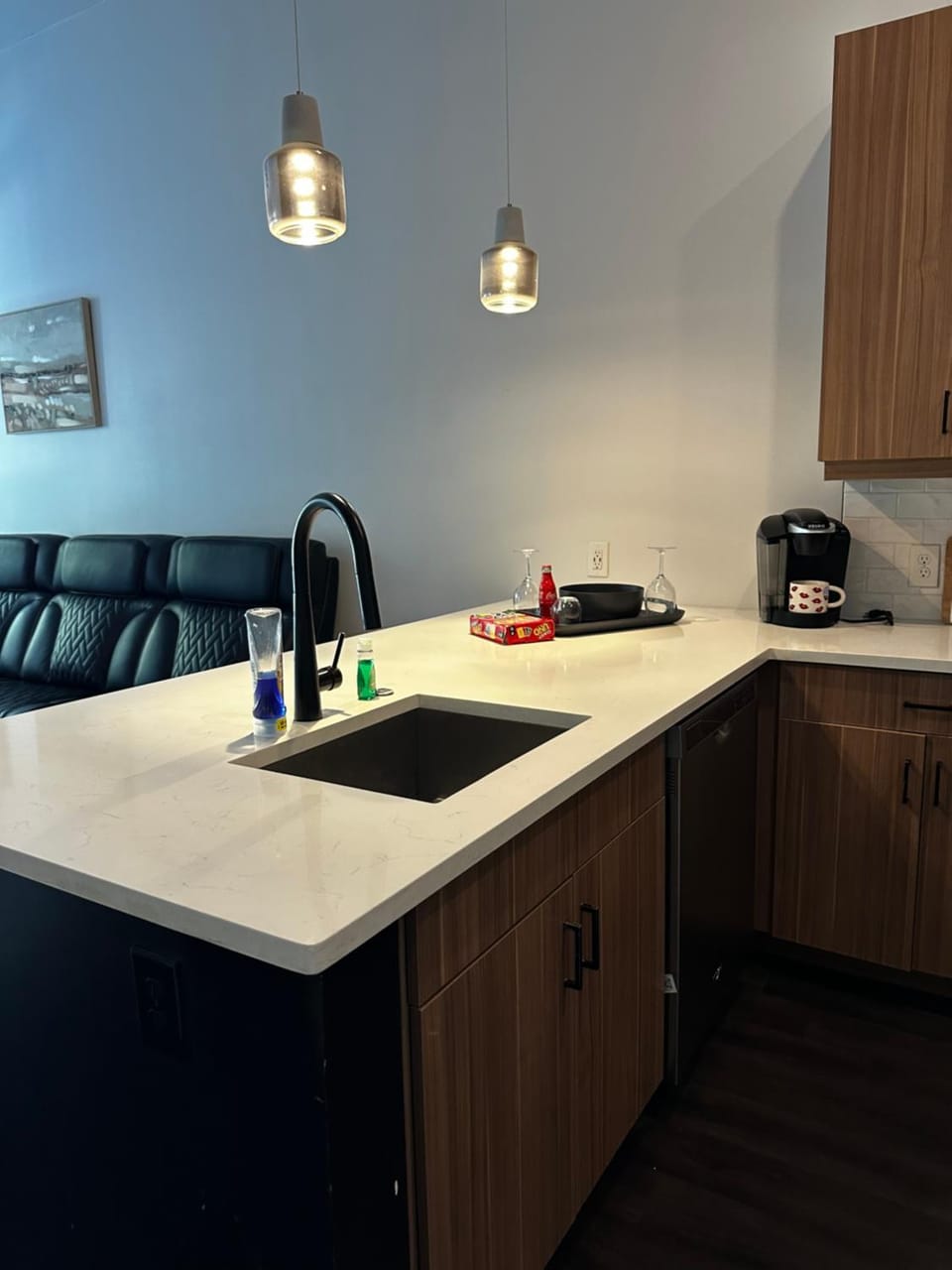 Most Luxury Modern One bedroom downtown Atlanta Apartment in Atlanta