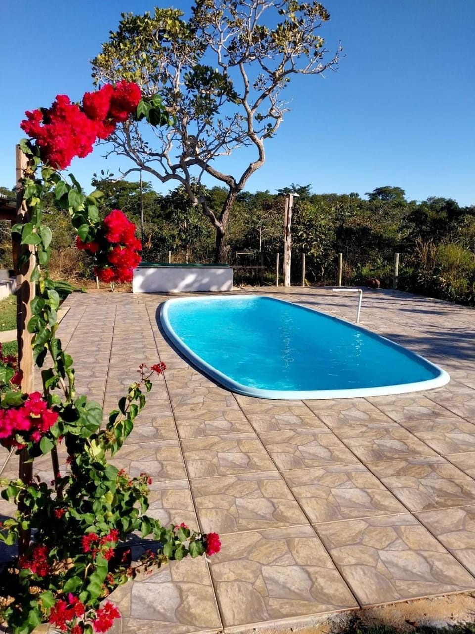 Garden, Swimming pool