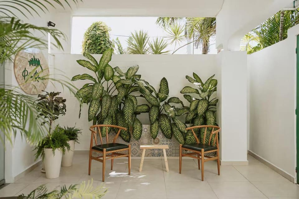 Patio Romero Boutique Hotel - 1 Bed and Breakfast in Merida