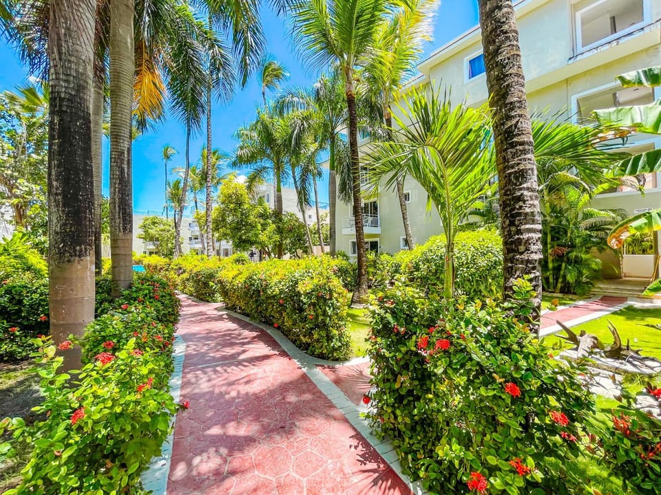 Garden, Garden, Garden view