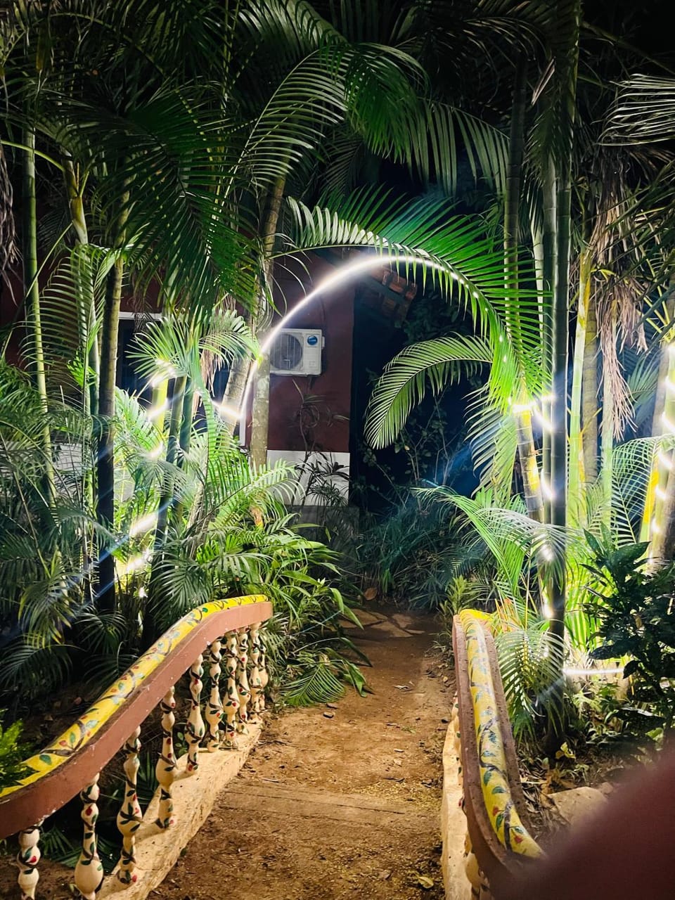 Spring, Night, Natural landscape, Garden, Garden view