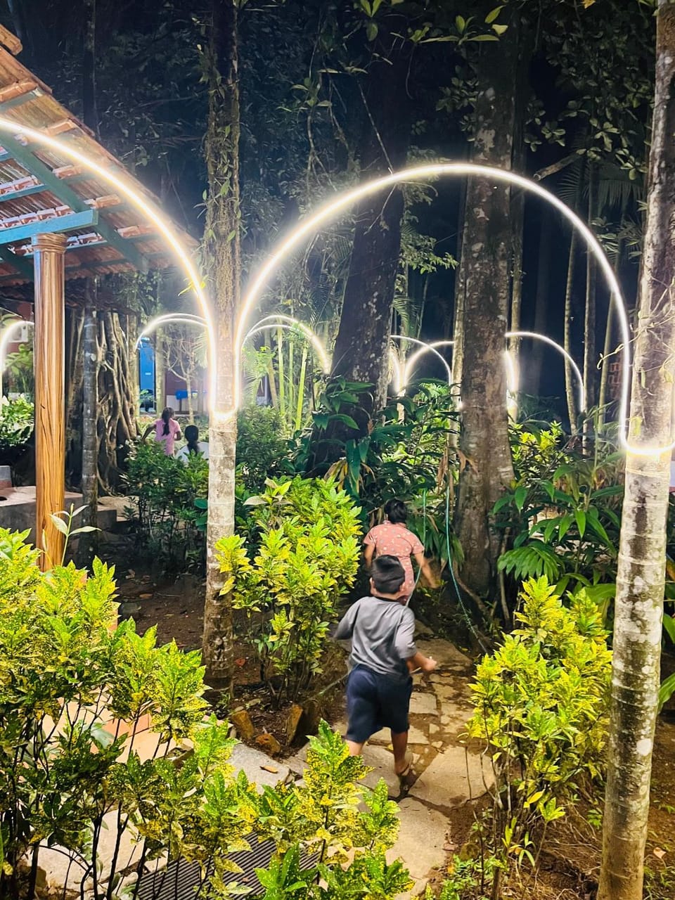 Night, People, Natural landscape, Garden, Garden view, group of guests