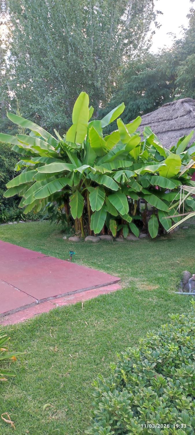 Cariño Rosao Country House in Luján de Cuyo