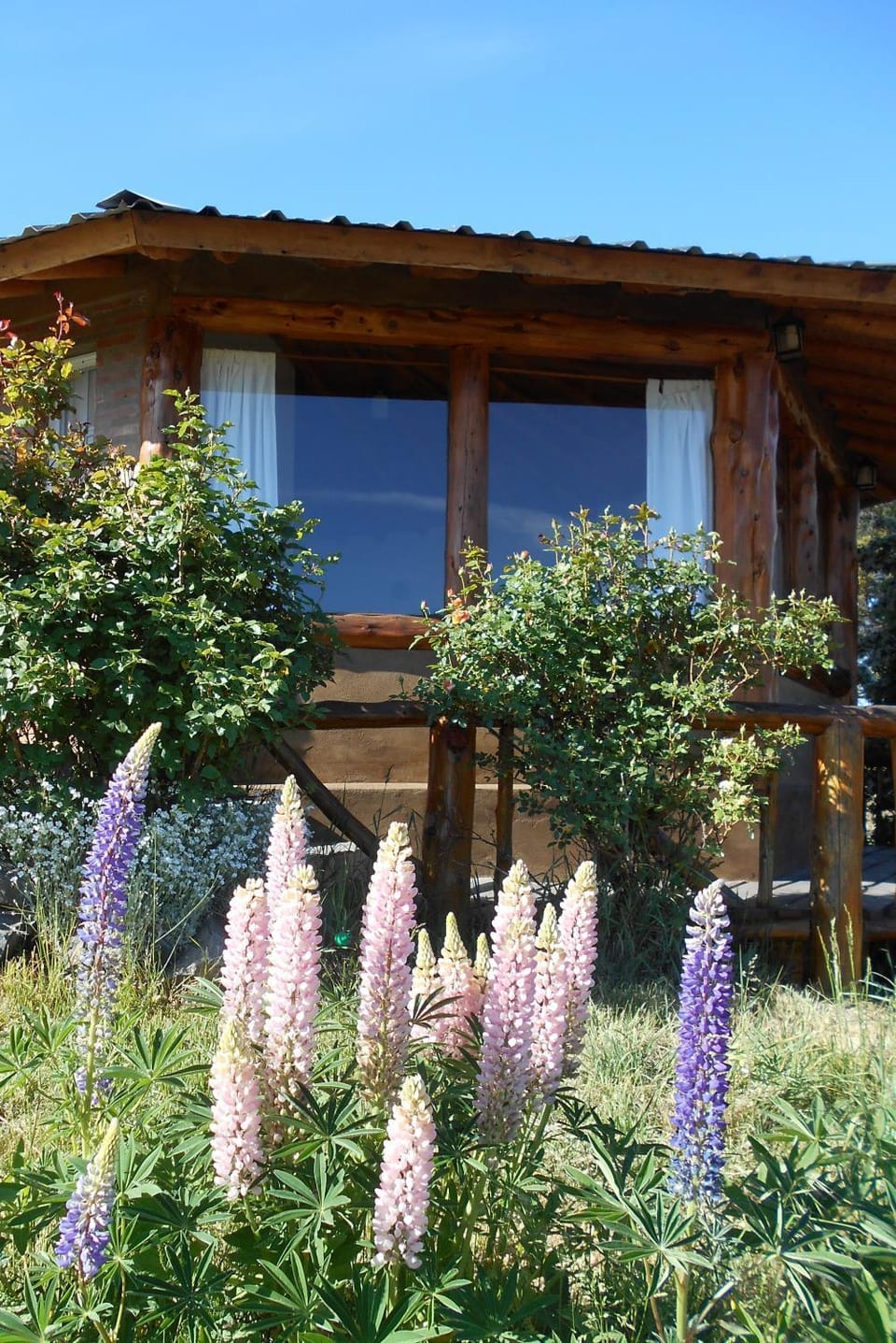 Cabañas El Muelle Apartment in Chubut Province, Argentina