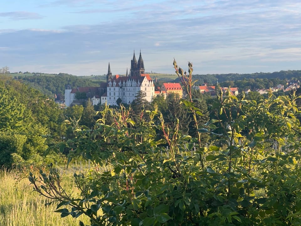 Gästewohnung Lotte Apartment in Meissen