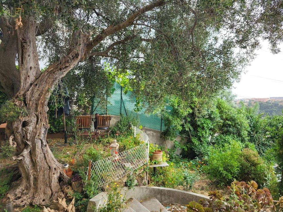 Villa with gorgeous view Villa in Nice
