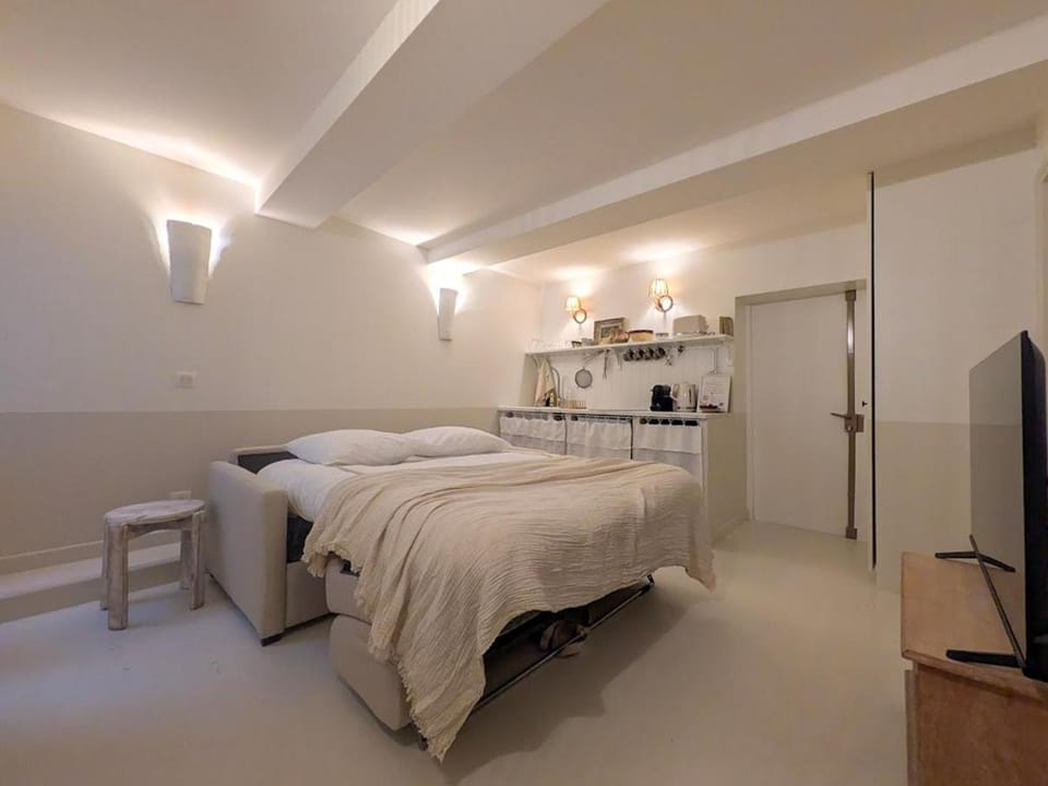 Bed, TV and multimedia, Kitchen or kitchenette, Photo of the whole room