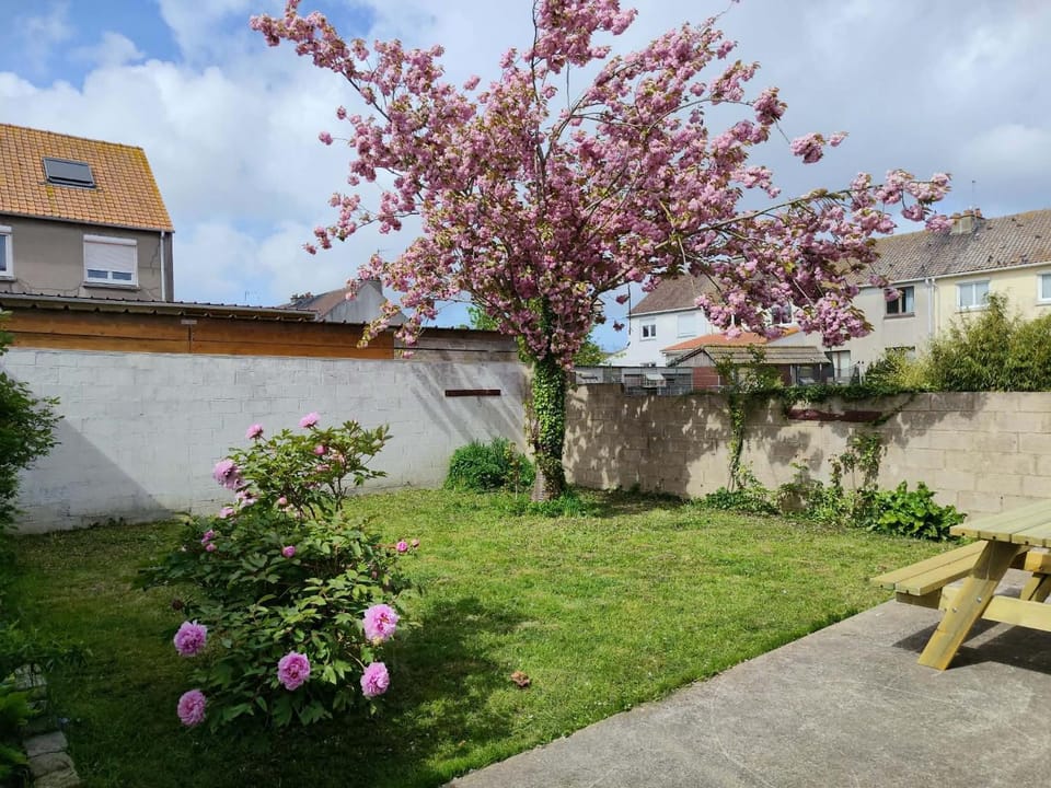 Spring, Garden, Garden view