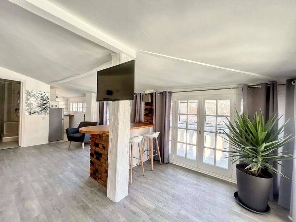 Spacieux appartement climatisé au centre ville de Perpignan Apartment in Perpignan