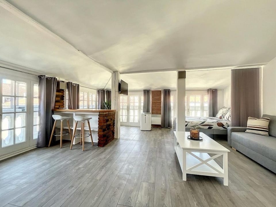 Spacieux appartement climatisé au centre ville de Perpignan Apartment in Perpignan