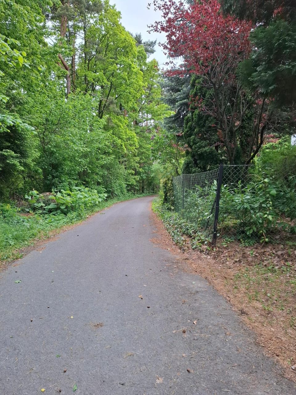 Natural landscape, Area and facilities