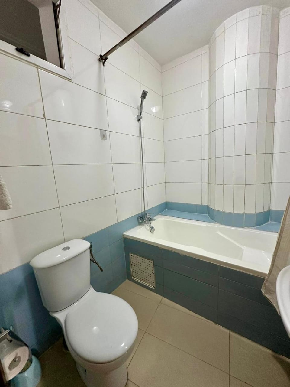 Toilet, Bathroom, Bath