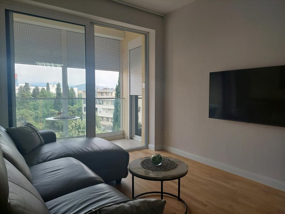 Modern cosy appartment Podgorica Apartment in Podgorica