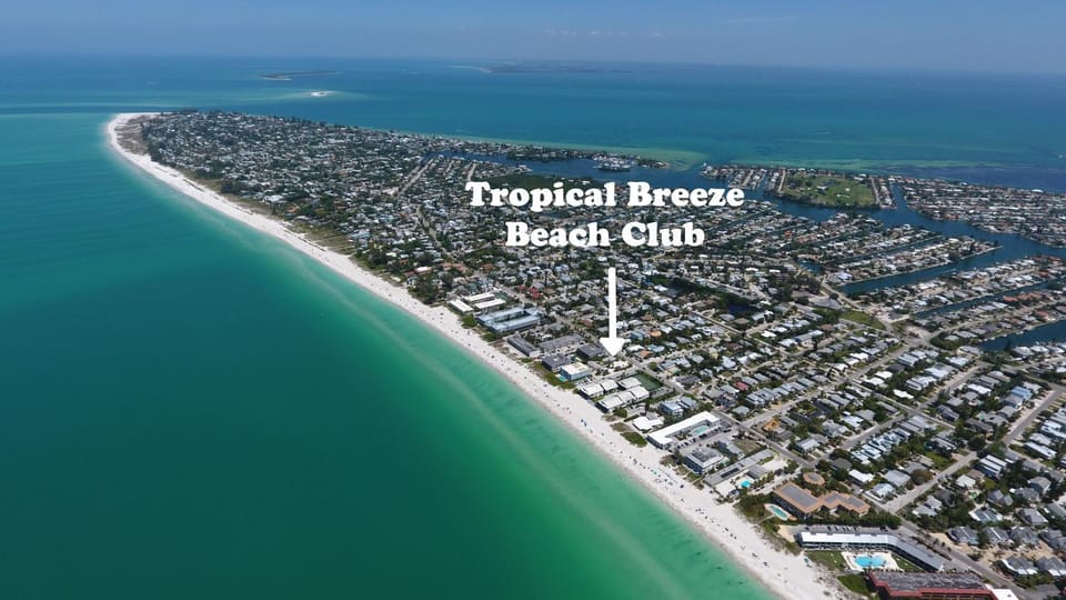 Bird's eye view, Beach, Text overlay, City view, Sea view, Location