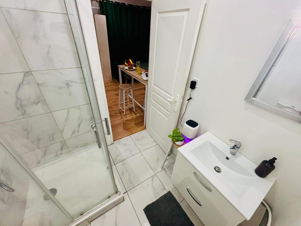 L'échappée verte - Proche gare - Saint Etienne Apartment in Saint-Étienne