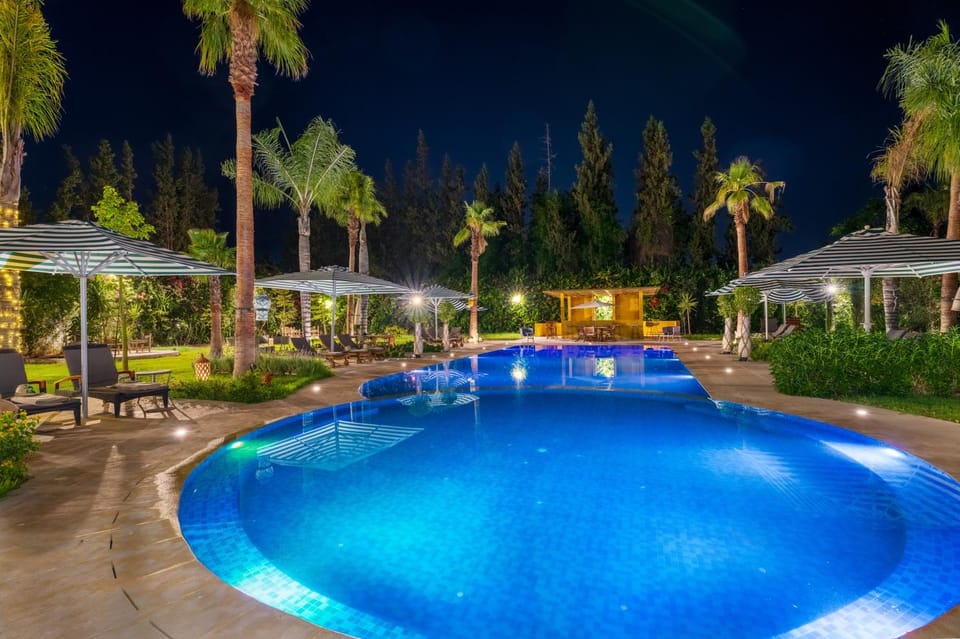 Night, Garden, Swimming pool, sunbed