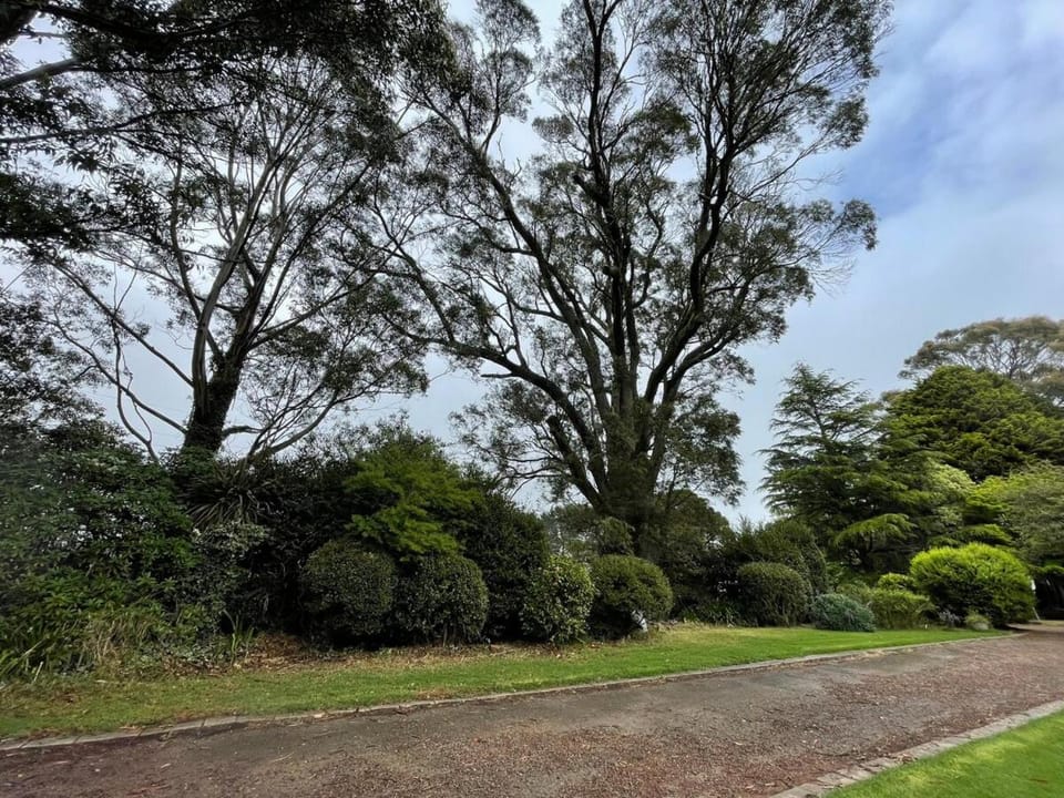 MaddOx Farm Cottage - Farm Stay House in Burrawang