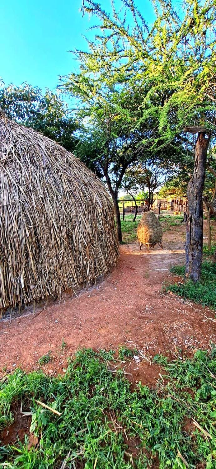 Makoyo Bantu Cultural Huts Campground/ 
RV Resort in Kenya