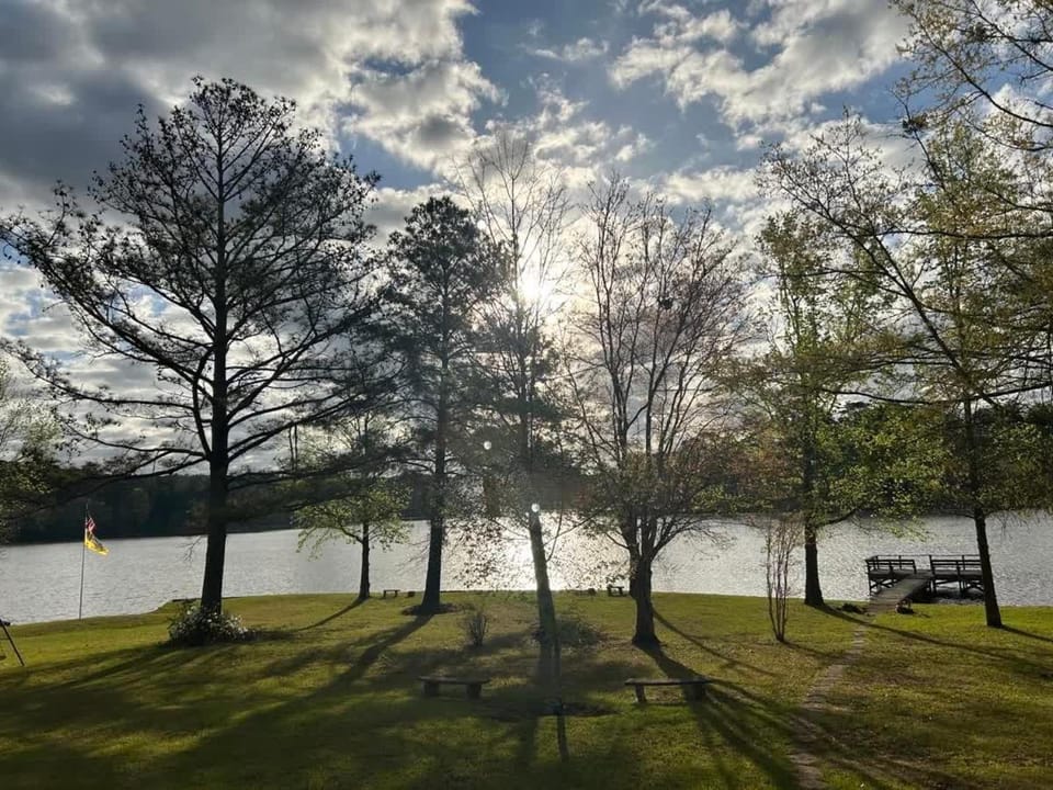 Lake view