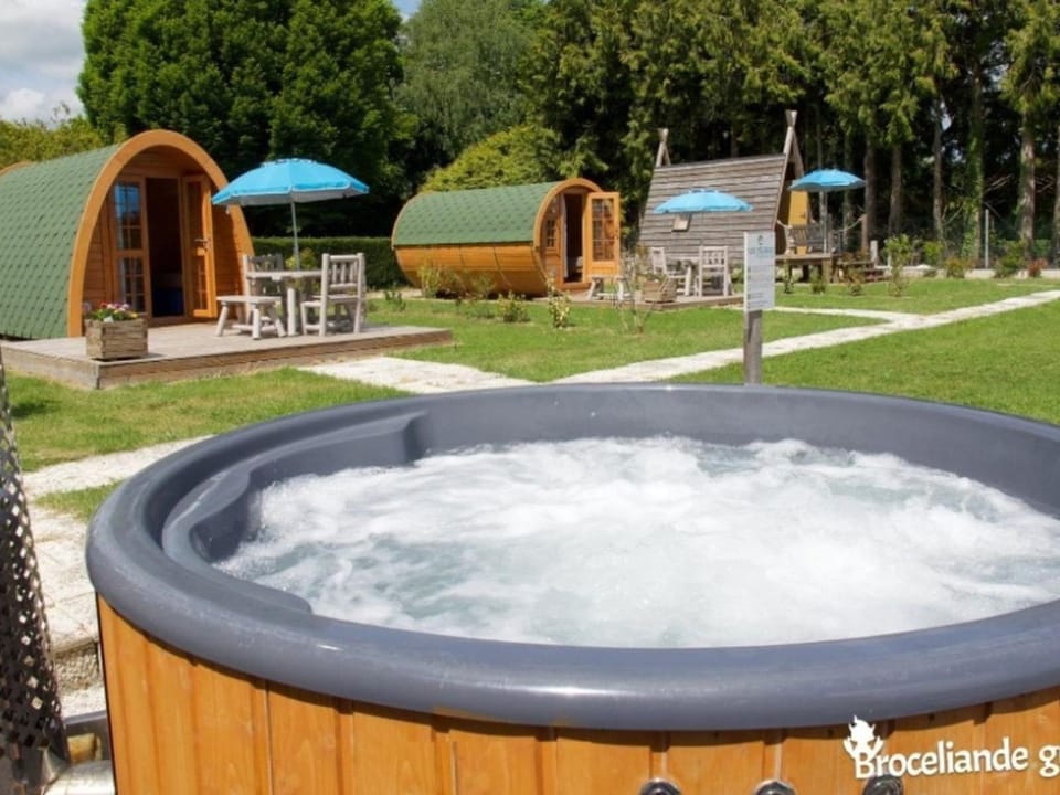 Mobil-home climatisé, animaux admis - 6 pers. - API-1-52-2794 Campground/ 
RV Resort in Brittany