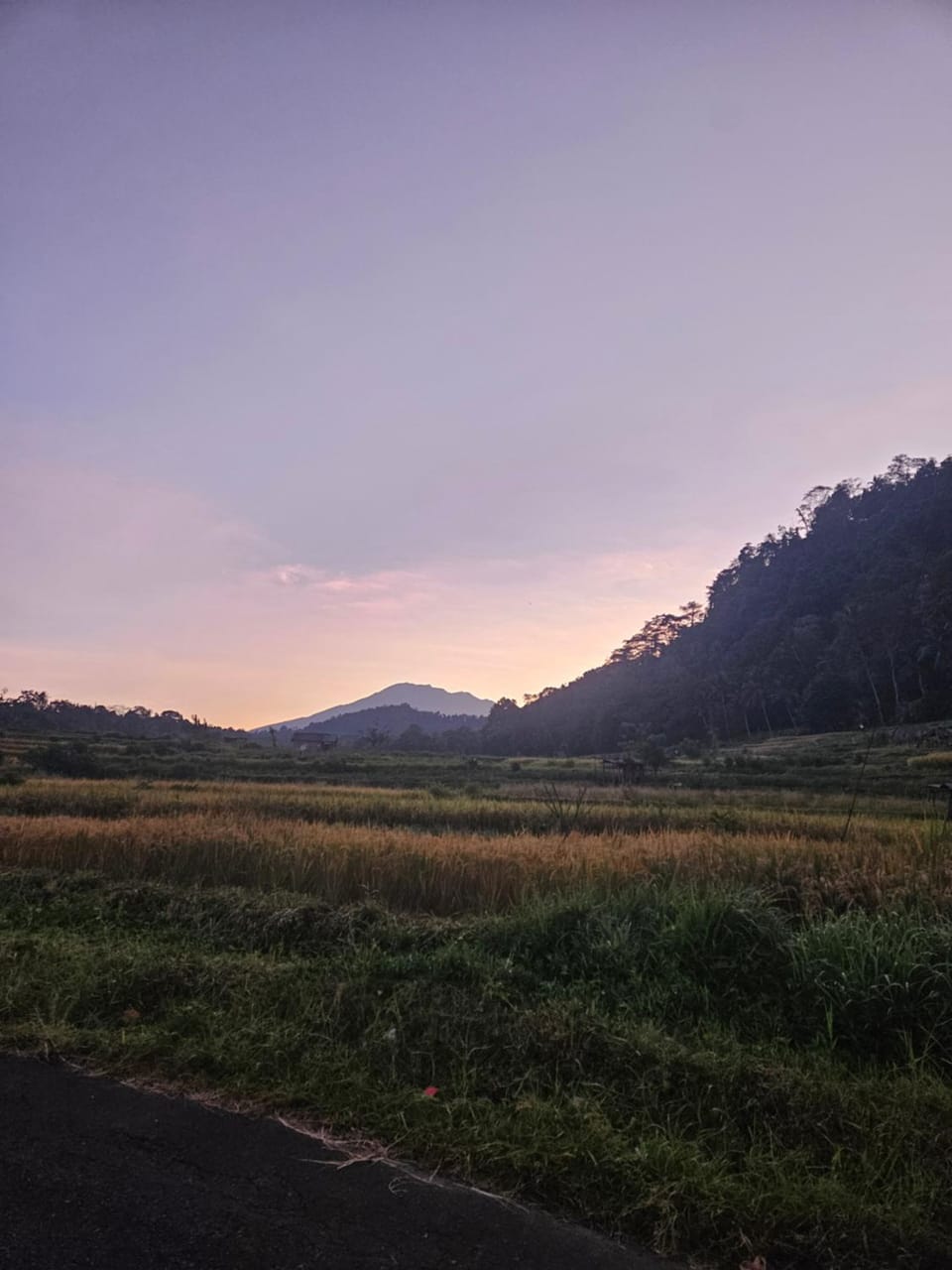 Kubu Dangin Ogang Guest House Bed and Breakfast in Sidemen