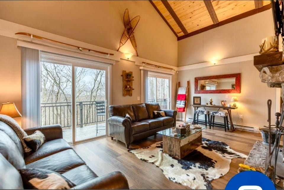 Wolfman Lodge House in Beech Mountain