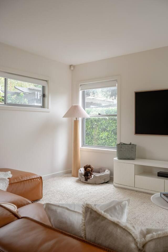Living room, pet friendly