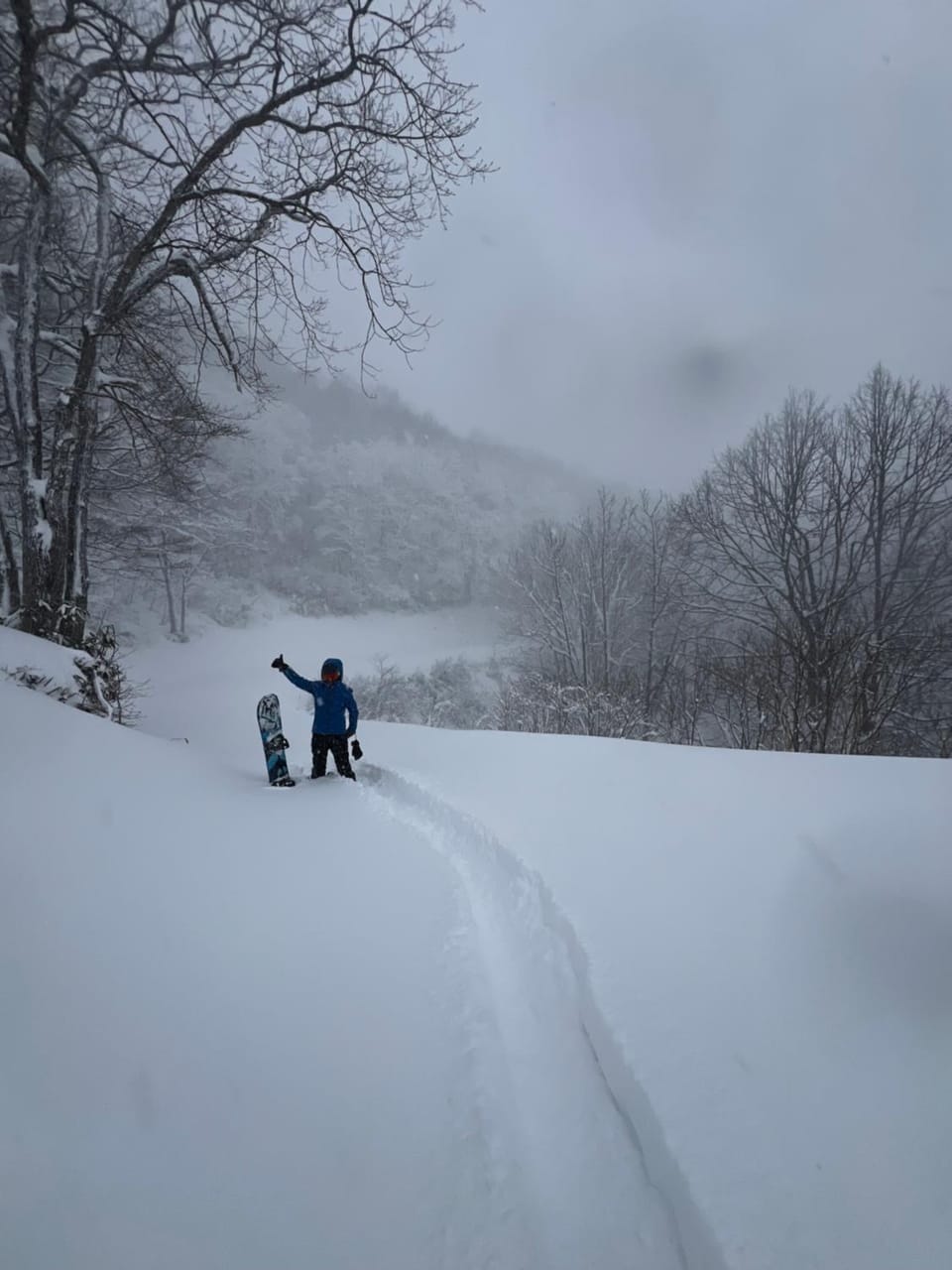 Skiing