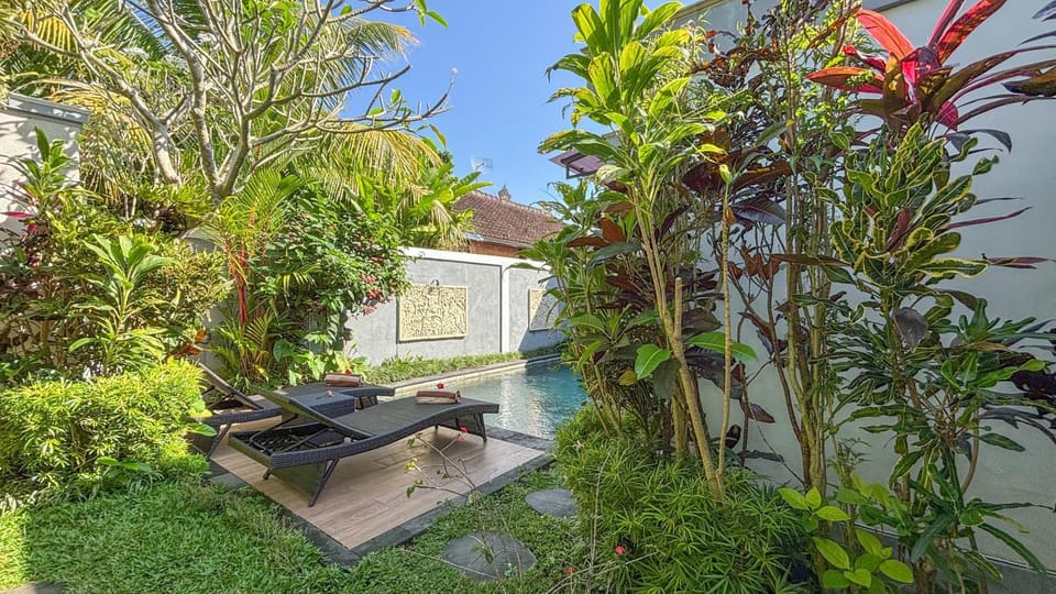 Spring, Day, Natural landscape, Garden, Garden view, Pool view, Swimming pool, sunbed