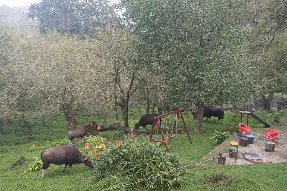 Misty Resort Stay Villa in Kodaikanal