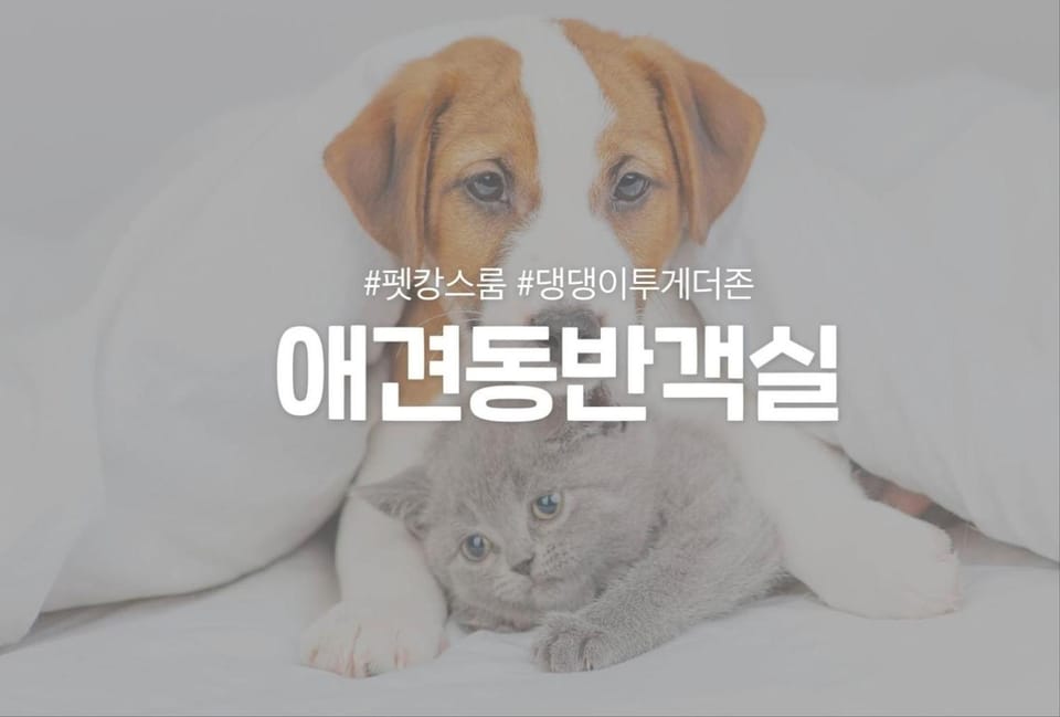 호텔 더스테이낭만 평리점 Hotel in Daegu