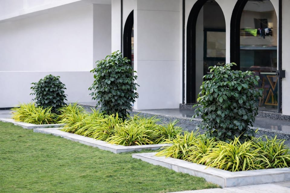Property building, Spring, Day, Garden, Garden view