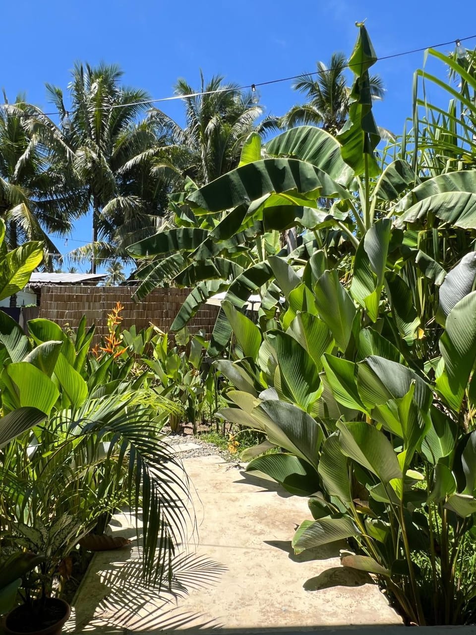 Garden, Garden view