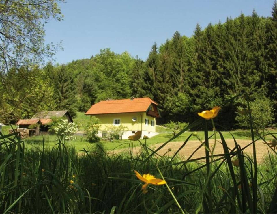 Natural landscape, Garden