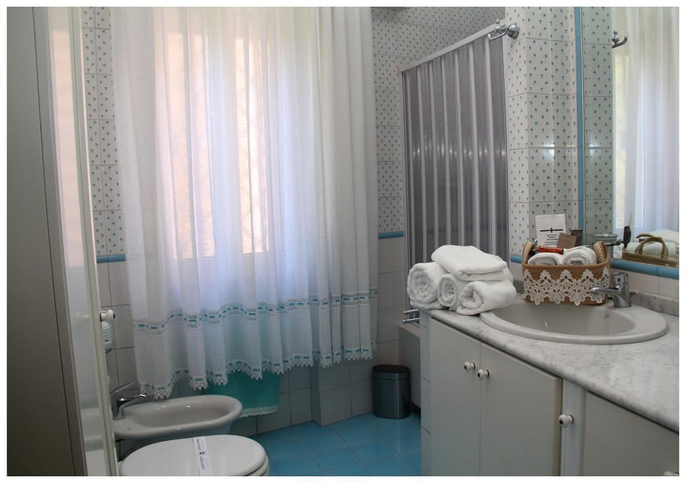 Shower, Toilet, Bathroom, bidet, towels