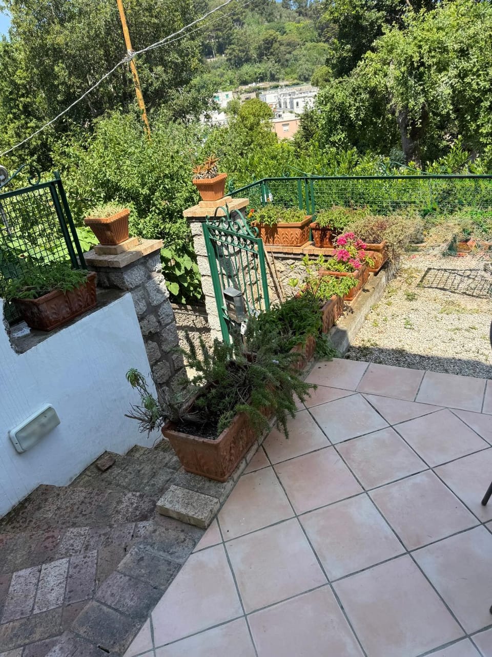 LA CICALA solo a piedi in salita 20 minuti dalla PIAZZETTA Apartment in Capri