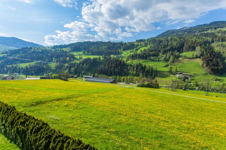 Natural landscape