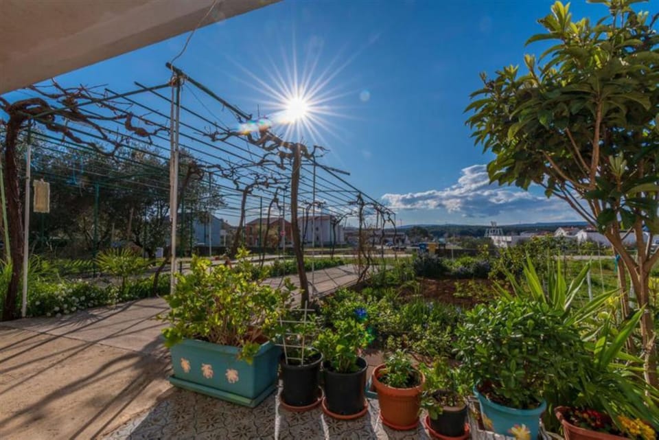 Garden, Garden view, Parking