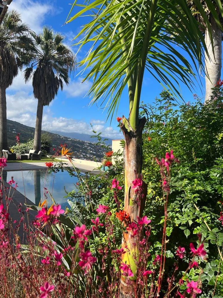 Villa Casa de las Viñas, views of the Teide and the sea Villa in Canary Islands