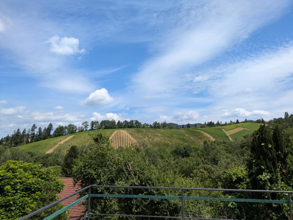 View (from property/room)