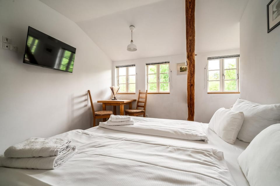 Hotel Bolter Mühle - DZ Rapskammer Hotel in Rechlin